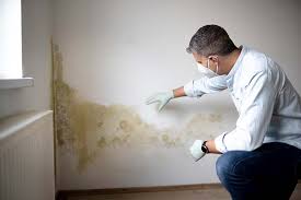 Best Mold Prevention Services  in Gillett, WI